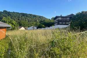 Charmantes, großzügiges Anwesen mit 2 Wohnhäusern, Scheune, Lager/Werkstatt (alte Stallungen) – Wollweg 3, 53902 Euskirchen (Kreis) – Vorschaubild 69
