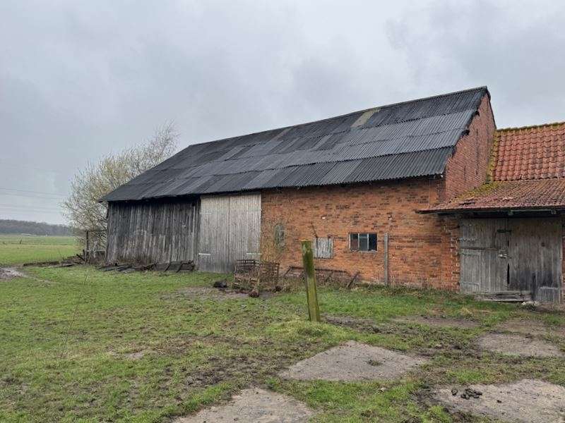 Pferdefreunde! Resthof in Alleinlage, mit ca. 12.000m² Weideflächen -Renovierungsbedürftig!, Nienburg Weser Kreis – Bild 3
