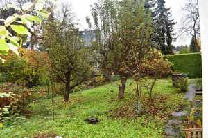 Küstriner Pl. Nähe - Massivhaus v. 1968 - 
Ausbau oder Abriss mit Neubebauung, 
schöne Gartenanlag – Berlin – Vorschaubild 5