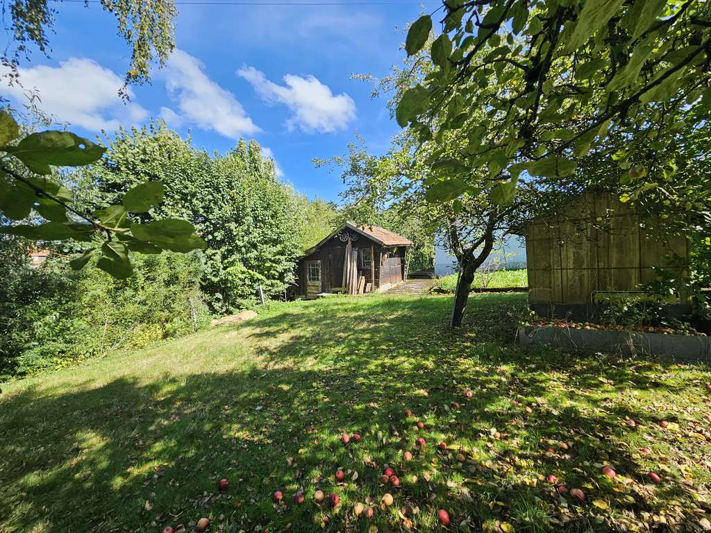 Immobilie in Aldingen - Aldingen: Gr. 1 - Fam.Haus mit Einliegerwohnung + Baugrundst., Garten + Garage - Bild 2