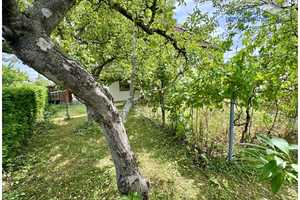 Sehr schöne & große Familienresidenz mit 315 m² & Traumgarten in ruhiger Lage - sofort bezugsfrei – Augsburg (Kreis) – Vorschaubild 8