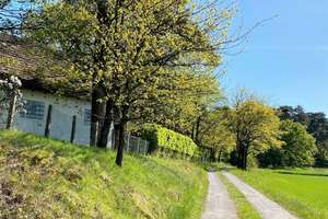 Kotten, Doppelgarage und Pferdestall im Außenbereich von Bad Iburg zur Vermietung – Die vollständige Adresse der Immobilie erhältst du vom Anbieter., 49186 Bad Iburg – Vorschaubild 30