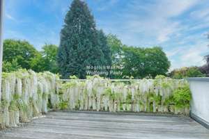 Altbau-Liebe für moderne Familien: 6 x Schlafen/ 4 Bäder/ Einlieger/ Gartenidylle – Die vollständige Adresse der Immobilie erhältst du vom Anbieter., 41063 Windberg, Mönchengladbach – Vorschaubild 10