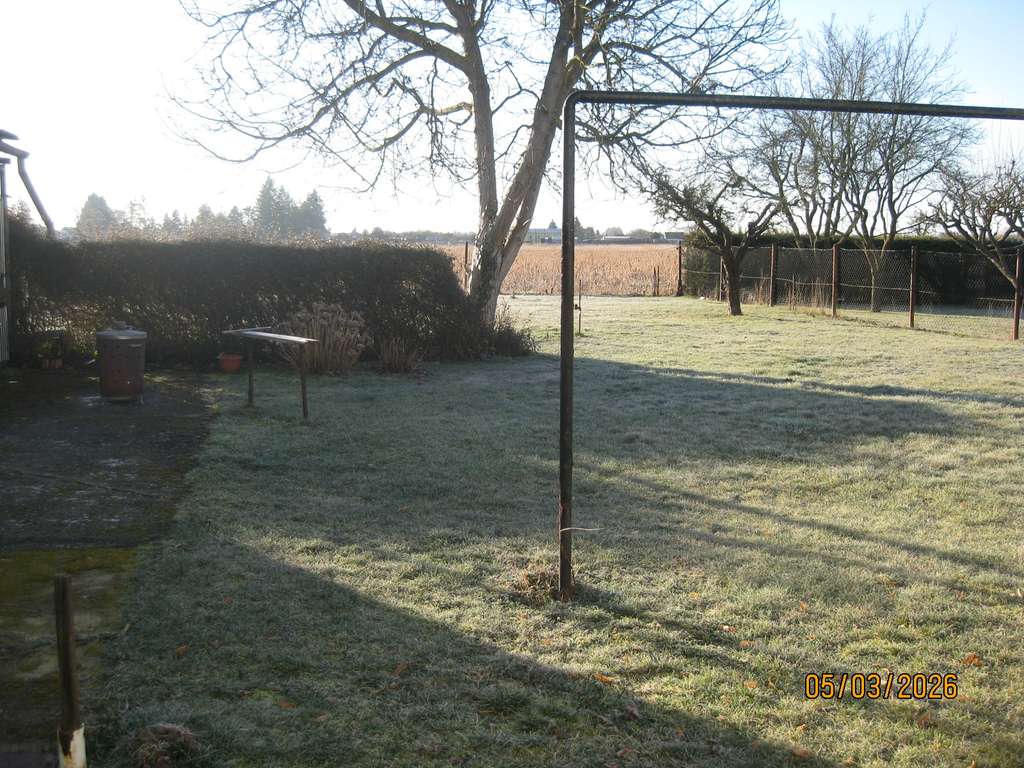 Immobilie in Schönewalde - Einfamilienhaus mit 5 Zimmern und Garage in Herzberg/Elster - Bild 4