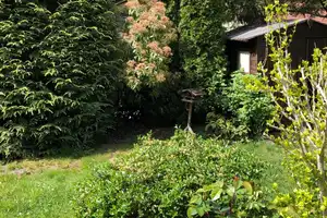 freistehendes Einfamilienhaus (inkl. EBK) auf ruhigem Sonnengrundstück – Berlin – Vorschaubild 24