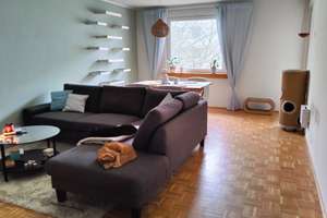 Kurzeitige befristete Untermiete - 3-Zimmer-Wohnung mit 2 Katzen für Pärchen - kein WBS – Moltkestraße 80, 50859 Lövenich, Köln – Vorschaubild 11