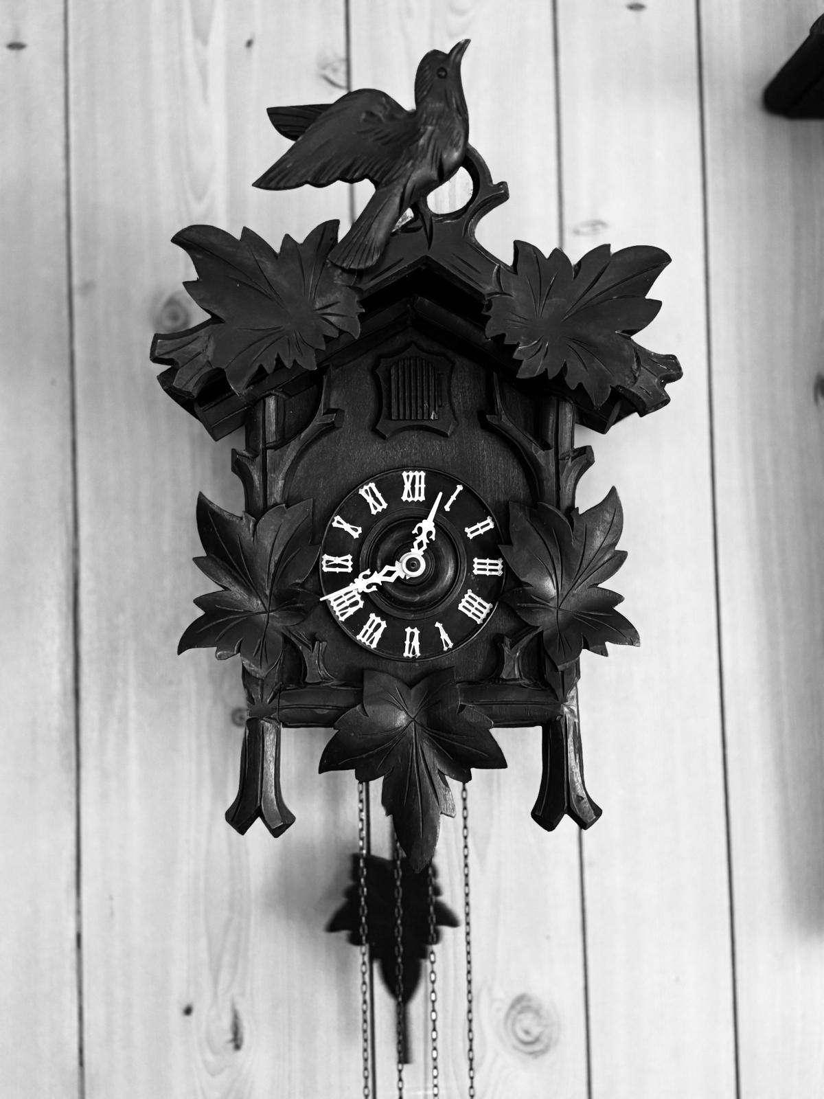 Renovierungsbedürftige ETW in Freiburg Landwasser auf Erbpacht, Freiburg im Breisgau – Bild 1