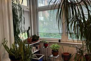 Von Privat - Schöne Altbauwohnung in Bad Cannstatt, Nähe Kurpark – Die vollständige Adresse der Immobilie erhältst du vom Anbieter., 70372 Kurpark, Stuttgart – Vorschaubild 6
