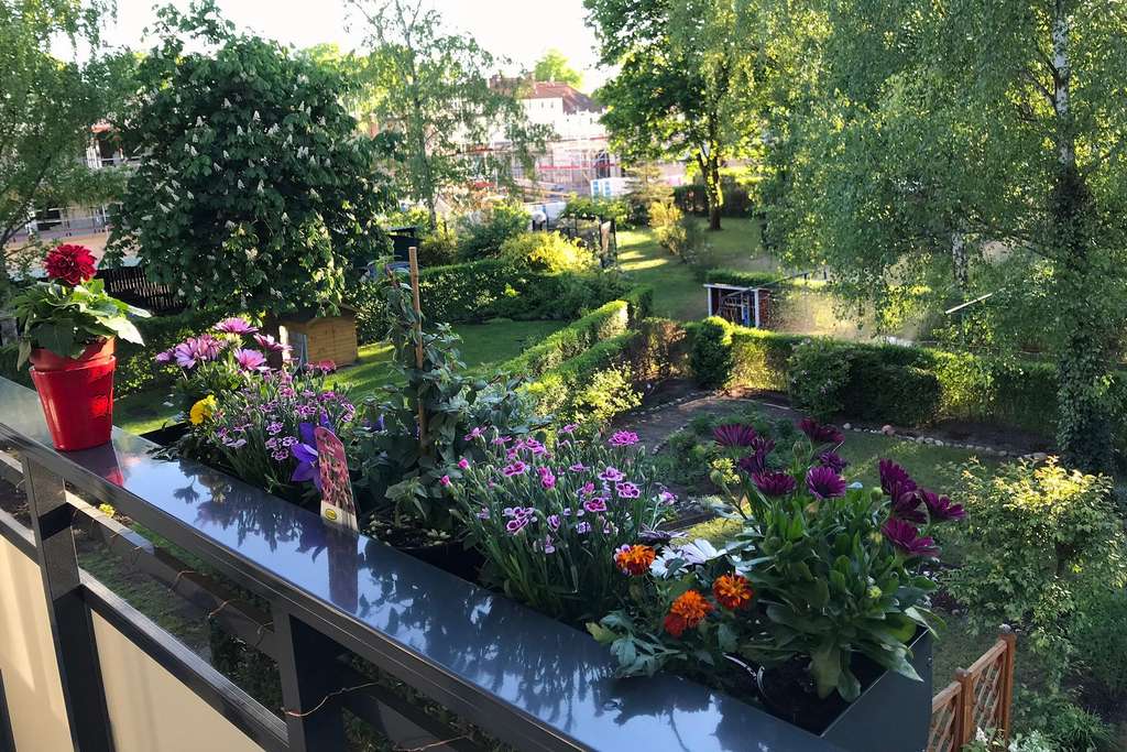 Immobilie in Hennigsdorf - Viel Platz fürs Leben: elegante 120 m² Wohnung mit Balkon, Garten, Carport & Einbauküche - Bild 2