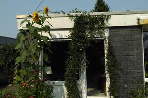 Großzügige möblierte Bungalow Wohnung (ca. 260 m²) mit Garten, Sauna & separater Einliegerwohnung –  – Rotdornweg 28, 53177 Heiderhof, Bonn – Vorschaubild 64