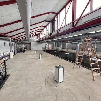 LANGENHORN | ca. 1.600 m² | HALLENFLÄCHE | SHOWROOM | BEHEIZT |