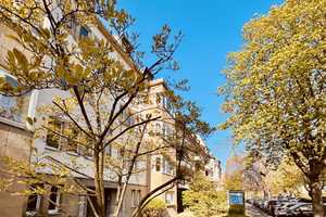 -I| KLEIN ABER FEIN || Lichtdurchflutetes Zoo-Appartmenet || LEERSTAND |I- – Schumannstraße 64, 40237 Düsseldorf – Vorschaubild 1