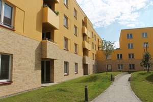 Garten inklusive: 3-Zimmer-Wohnung mit Einbauküche zum Wohlfühlen – Katharinenweg 9, 17489 Innenstadt, Greifswald – Vorschaubild 6