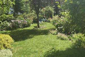 Property thumbnail 19