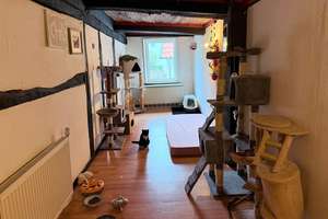Charmantes Zweifamilienhaus mit Fachwerkstil, Garten und vielseitigem Raumkonzept *Provisionsfrei* – Die vollständige Adresse der Immobilie erhältst du vom Anbieter., 32683 Barntrup – Vorschaubild 17