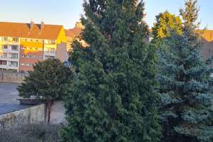 Renovierte, helle 3-Zimmer-Wohnung mit Balkon im 2. OG – Eichental 9, 47798 Stadtmitte, Krefeld – Vorschaubild 9