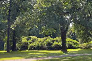 Traumwohnung mit sonnigem Garten – Die vollständige Adresse der Immobilie erhältst du vom Anbieter., 22609 Nienstedten, Hamburg – Vorschaubild 13