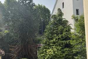Charmante 2-Zimmer-Wohnung zwischen Elberfeld und Barmen – zentral & gut angebunden – Wittensteinstraße 34, 42285 Wuppertal – Vorschaubild 8
