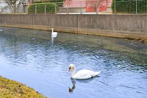 Property thumbnail 21