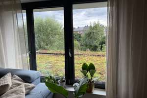 Energieeffizient kernsaniertes Haus:  Wohnung 1. OG in Wesel, stadtnah – Kolpingstr. 51, 46483 Wesel – Vorschaubild 7