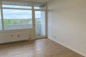 helles, ruhiges, renoviertes 1 Zi Studio mit Balkon, EBK in Mainz – Am Sonnigen Hang 4, 55127 Marienborn, Mainz – Vorschaubild 2
