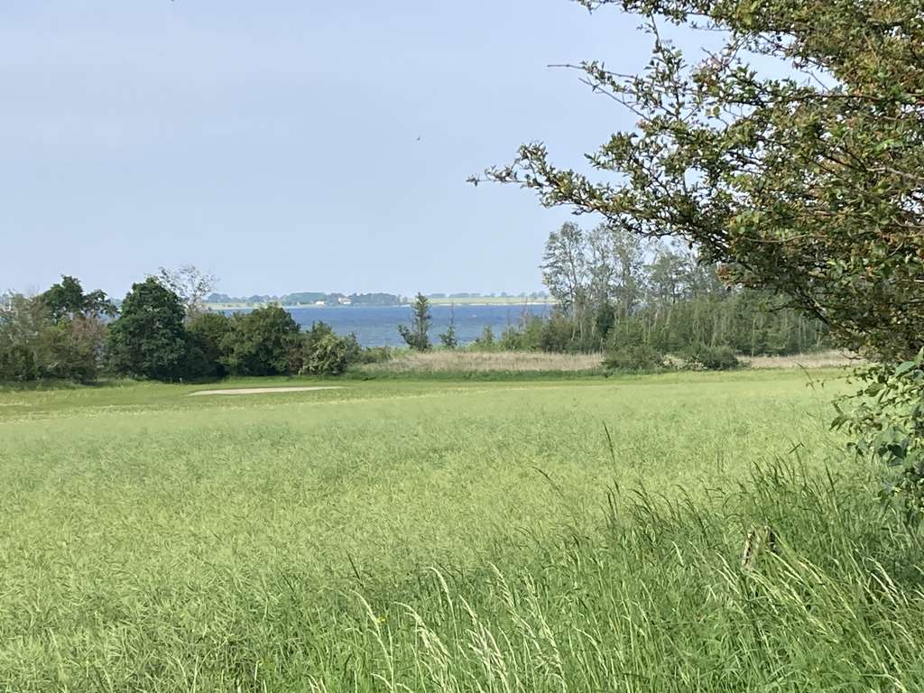 Immobilie in Zierow - Reetdach-Ferienhaus, nur 800 Meter von der Ostsee - Bild 4