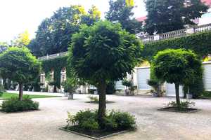 Property thumbnail 33