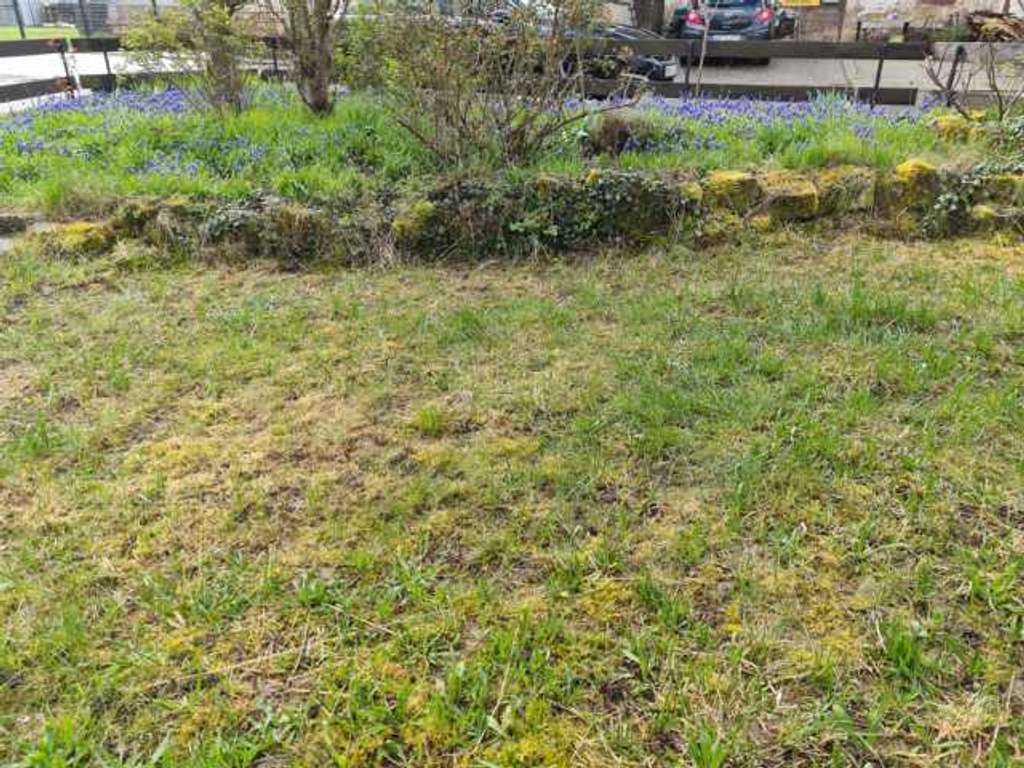 Immobilie in Blieskastel - Freistehendes topgepflegtes Einfamilienhaus in Blieskastel - Bild 3