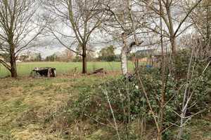 Solide Hülle, viel Potenzial – Oberspreewald-Lausitz (Kreis) – Vorschaubild 11