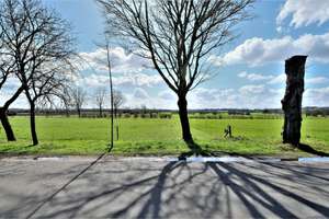 Freistehendes Einfamilienhaus am Naturschutzgebiet und nahe der niederländischen Grenze – Zum Wyler Meer 10, 47559 Kranenburg – Vorschaubild 27