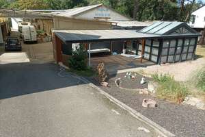 Wohnen, arbeiten und relaxen auf dem Land und am Wald. 6 -Zimmer-Einfamilienhaus in Lampertheim – Sandtorfer Weg 169, 68623 Lampertheim – Vorschaubild 11