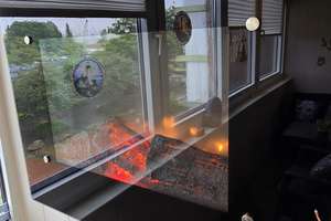 2 Zimmer Ferienwohnung in Ostseenähe - Top Lage Westseite – Osterwisch 4, 24217 Schönberg (Holstein) – Vorschaubild 11