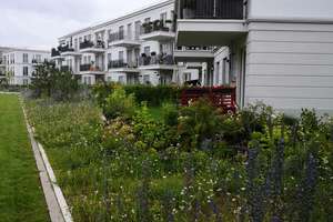 lnnenstadtnahe, lichtdurchflutete 3-Zimmer-EG-Wohnung mit EBK + Garten in Regensburg – Friedrich-Niedermayer-Straße 15, 93049 Westenviertel, Regensburg – Vorschaubild 10