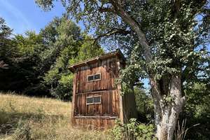 Hof - Pferdehof / Bauernhof mit 18.000 m2 nähe Tittling TOP LAGE an der B-85 – Die vollständige Adresse der Immobilie erhältst du vom Anbieter., 94163 Saldenburg – Vorschaubild 24