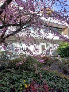 Helle 3 Zimmer Wohnung in Bismack-Viertel Stadtwaldnähe