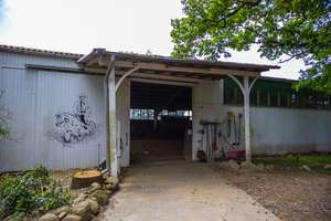 Idyllische Reitanlage mit Wohnhaus, Gästezimmern und Wirtschaftsgebäuden – Die vollständige Adresse der Immobilie erhältst du vom Anbieter., 27612 Loxstedt – Vorschaubild 29