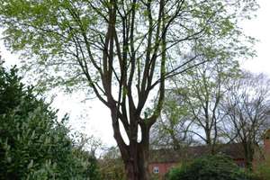 Property thumbnail 15