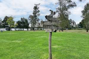 Großes Anwesen mit zwei Bestandshäusern, nur wenige Gehminuten vom Strandbad Kallinchen entfernt! – Die vollständige Adresse der Immobilie erhältst du vom Anbieter., 15806 Zossen – Vorschaubild 12