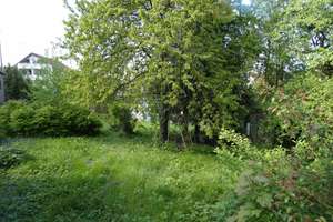 Charmantes Ensemble: Wohnhaus+Scheune in sehr guter Lage, hohe steuerl. AfA, zusätzl. Baugrundstück – Am Haldenholz 12+14, 71334 Waiblingen – Vorschaubild 17
