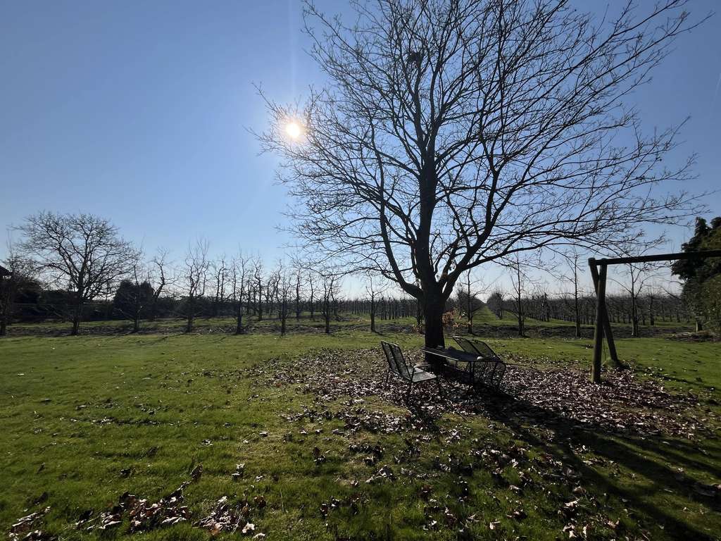 Immobilie in Jork - **Großzügiges Einfamilienhaus im Herzen des Alten Landes** - Bild 1