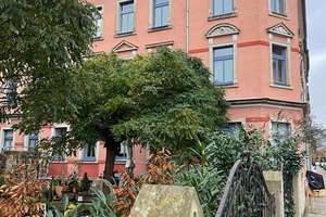 Property thumbnail 9