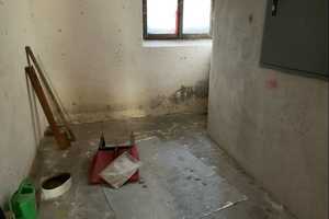 Solides Einfamilienhaus mit großzügigem Gartengrundstück sucht neuen Eigentümer – Altenkirchen (Westerwald) (Kreis) – Vorschaubild 18