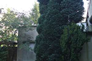 Dachwohnung im Zentrum von Bochum – Annastraße 23, 44793 Kruppwerke, Bochum – Vorschaubild 3