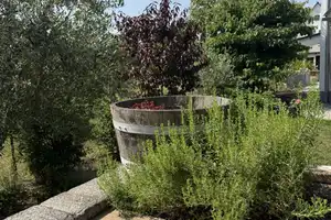 Provisionsfrei: A+ Familientraum mit sonnigem Garten – Groß-Gerau (Kreis) – Vorschaubild 12