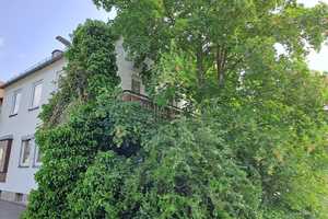 Haus mit Potential in Hohenberg an der Eger – Wunsiedel im Fichtelgebirge (Kreis) – Vorschaubild 3
