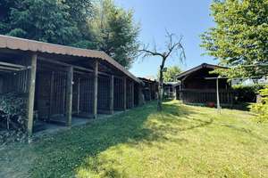 Familienhaus auf herrlichem Gartengrundstück – Die vollständige Adresse der Immobilie erhältst du vom Anbieter., 66589 Merchweiler – Vorschaubild 32