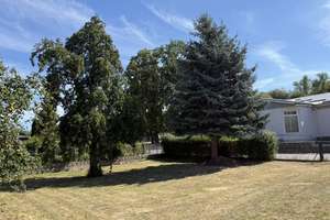 teilsanierter Vierseitenhof mit großem Grundstück und Gartenidylle – Hauptstraße 84, 99887 Hohenkirchen – Vorschaubild 18