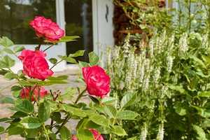 Property thumbnail 27