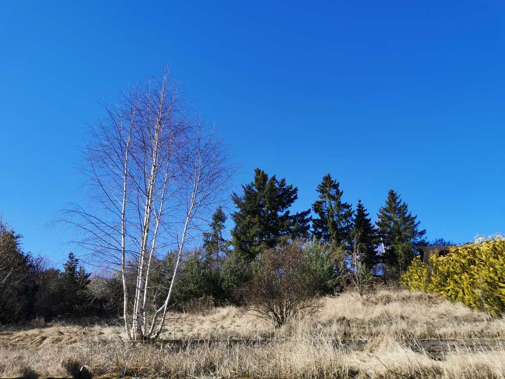 Immobilie in Gielow - Sanierungsbedürftiges 8-Zimmer Haus in Gielow - Bild 2