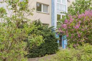 1-Zimmer-Wohnung mit Balkon – Wölfnitzer Ring 69, 1169 Gorbitz-Süd, Dresden – Vorschaubild 1